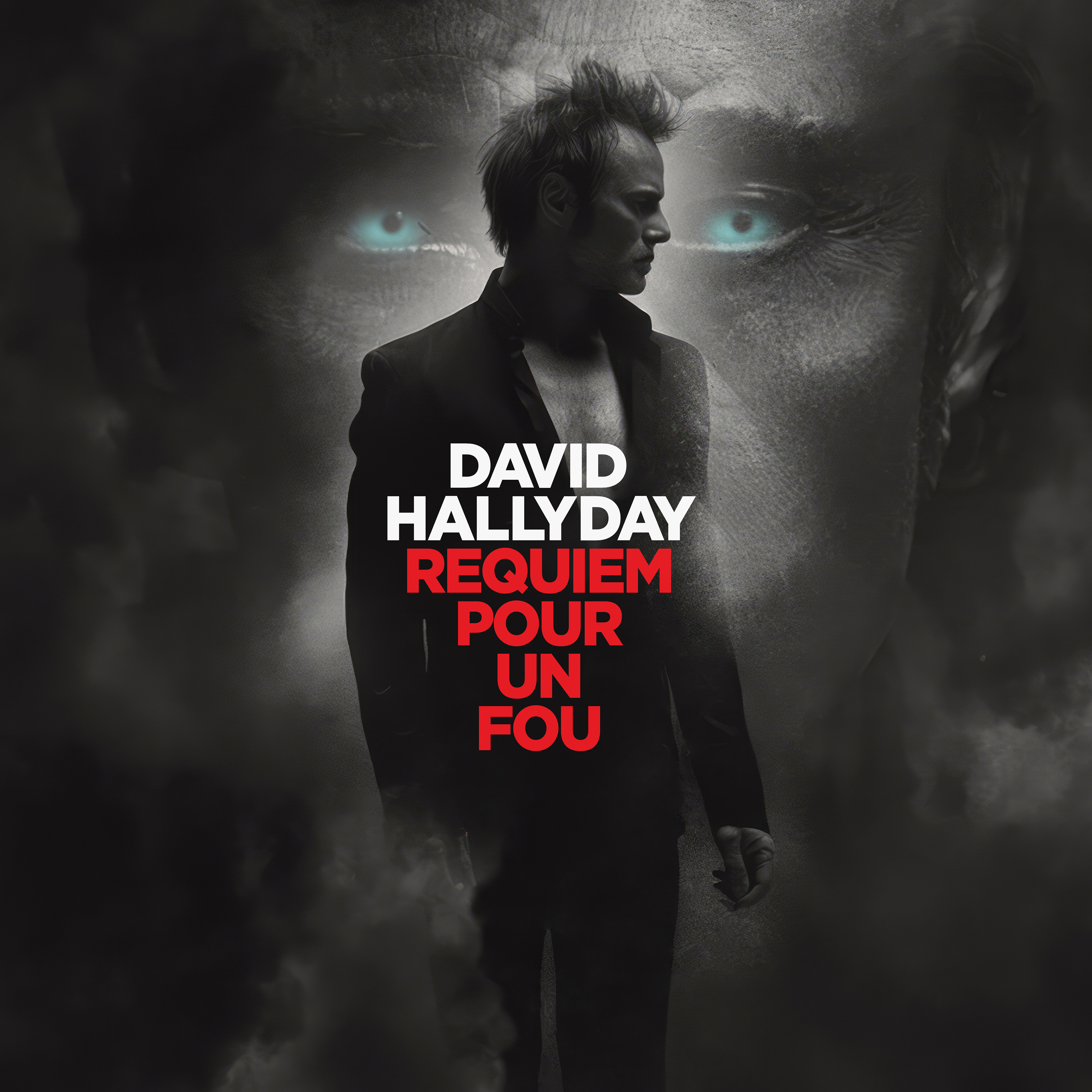 David Hallyday la grande tournée des zénith !